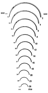 Picture of Style 103 - 1/2 Circle Reverse Cutting