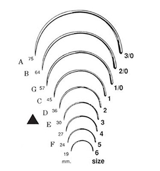 Picture of Style 244 - Fistula 1/2 Circle Cutting